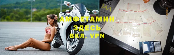 дмт Абаза