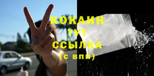дмт Абаза