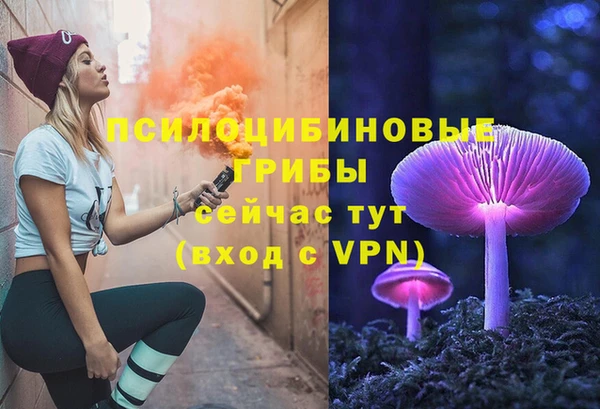 дмт Абаза