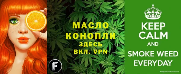 дмт Абаза